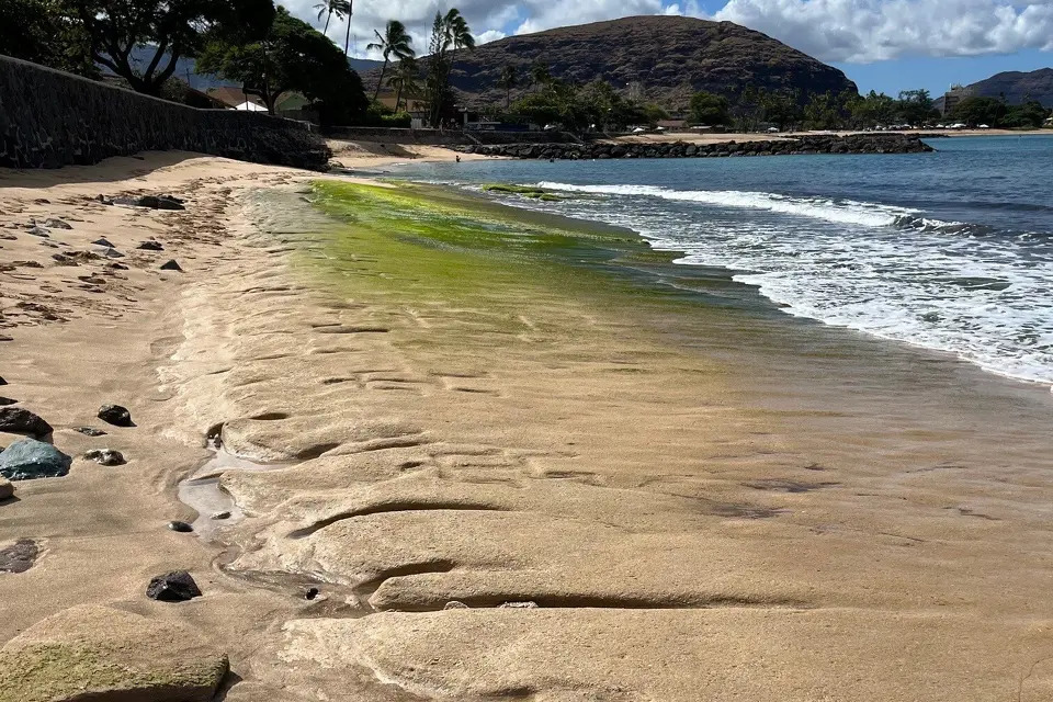 Figuras humanas esculpidas há séculos reaparecem na rocha exposta pela maré baixa em Pokai Bay, na costa oeste da ilha de Oahu, no Havaí.