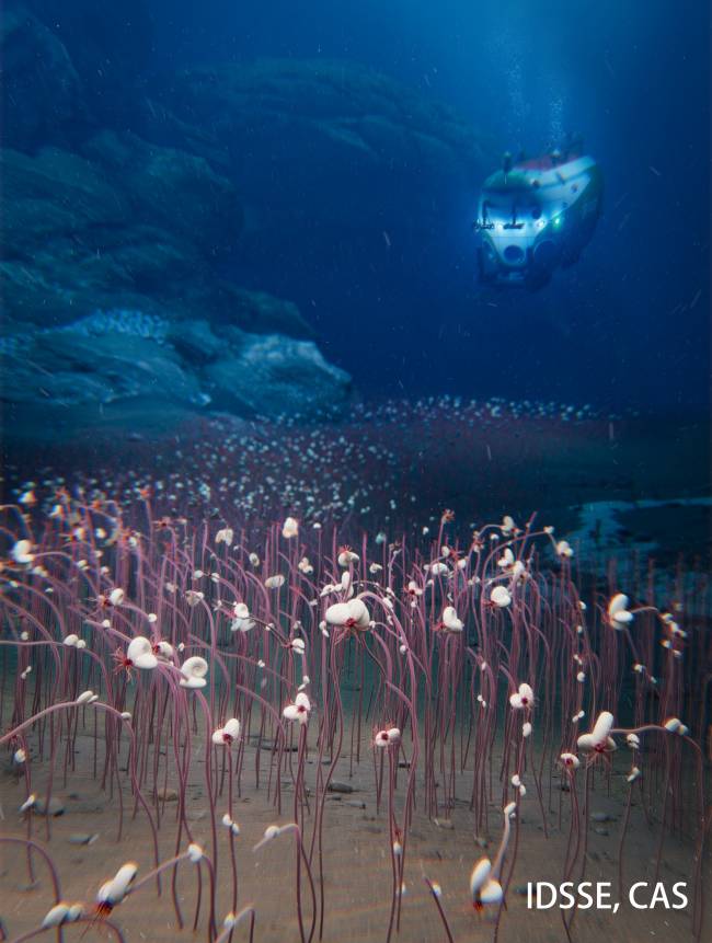 submarino Hadal dive with manned submersible Fendouzhe. This figure is created to depict these remarkable ecosystems, forming a