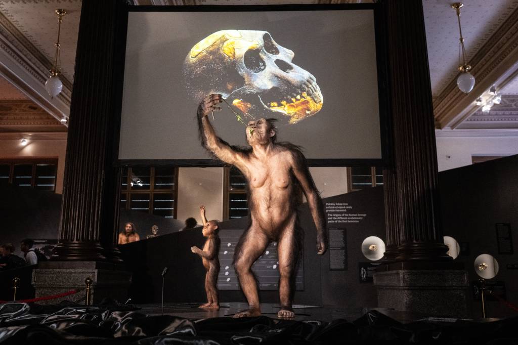 Fósseis de Lucy e Selam saem da Etiópia para exposição histórica na Europa