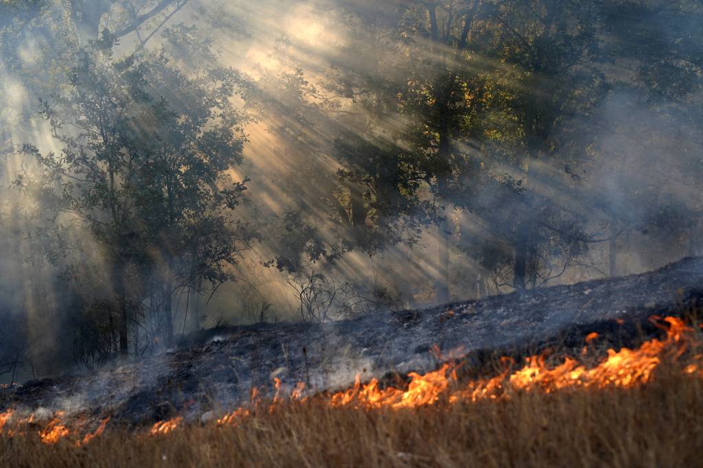 Com 1 milhão de hectares queimados, UE vive os incêndios florestais mais graves da história