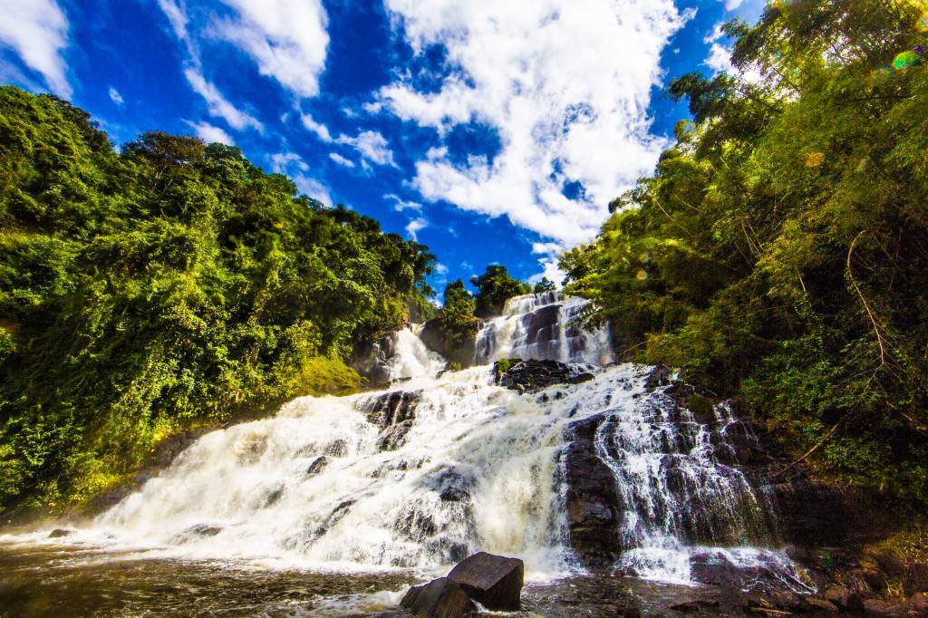 Reserva Michelin: como uma área degradada na Bahia virou símbolo de restauração da Mata Atlântica