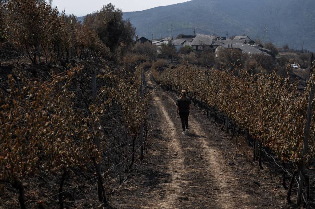 Europa aquece o dobro do planeta e já redesenha sua agricultura; COP30 testa papel do Brasil no clima global