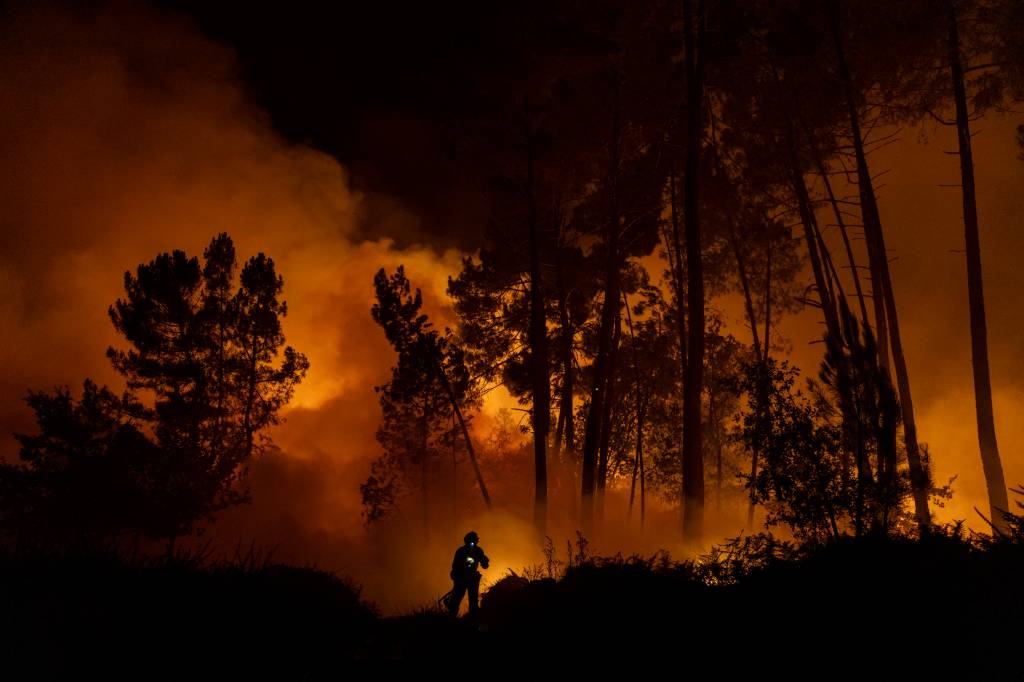 Europa registra neste ano a pior temporada de incêndios da história, diz instituto