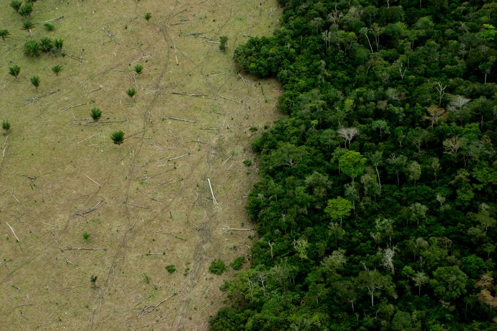 Brasil perde área natural maior que a Bolívia em quatro décadas, segundo MapBiomas