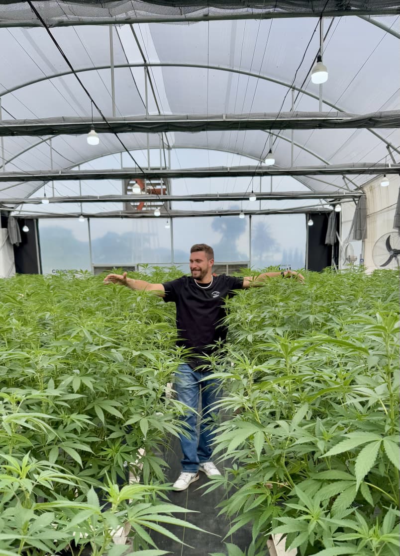 Especialista ensina técnica de plantio de maconha em feira de SP