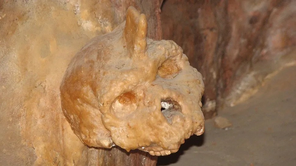 Crânio incrustado em caverna grega pode pertencer a espécie humana extinta