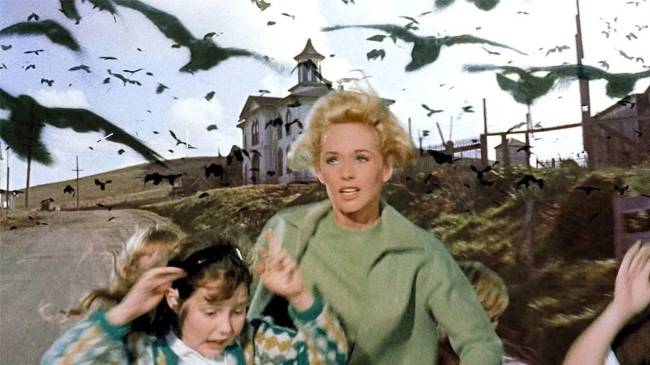 ospassaros2 Tippi Hedren no filme 'Os Pássaros' (1963) -