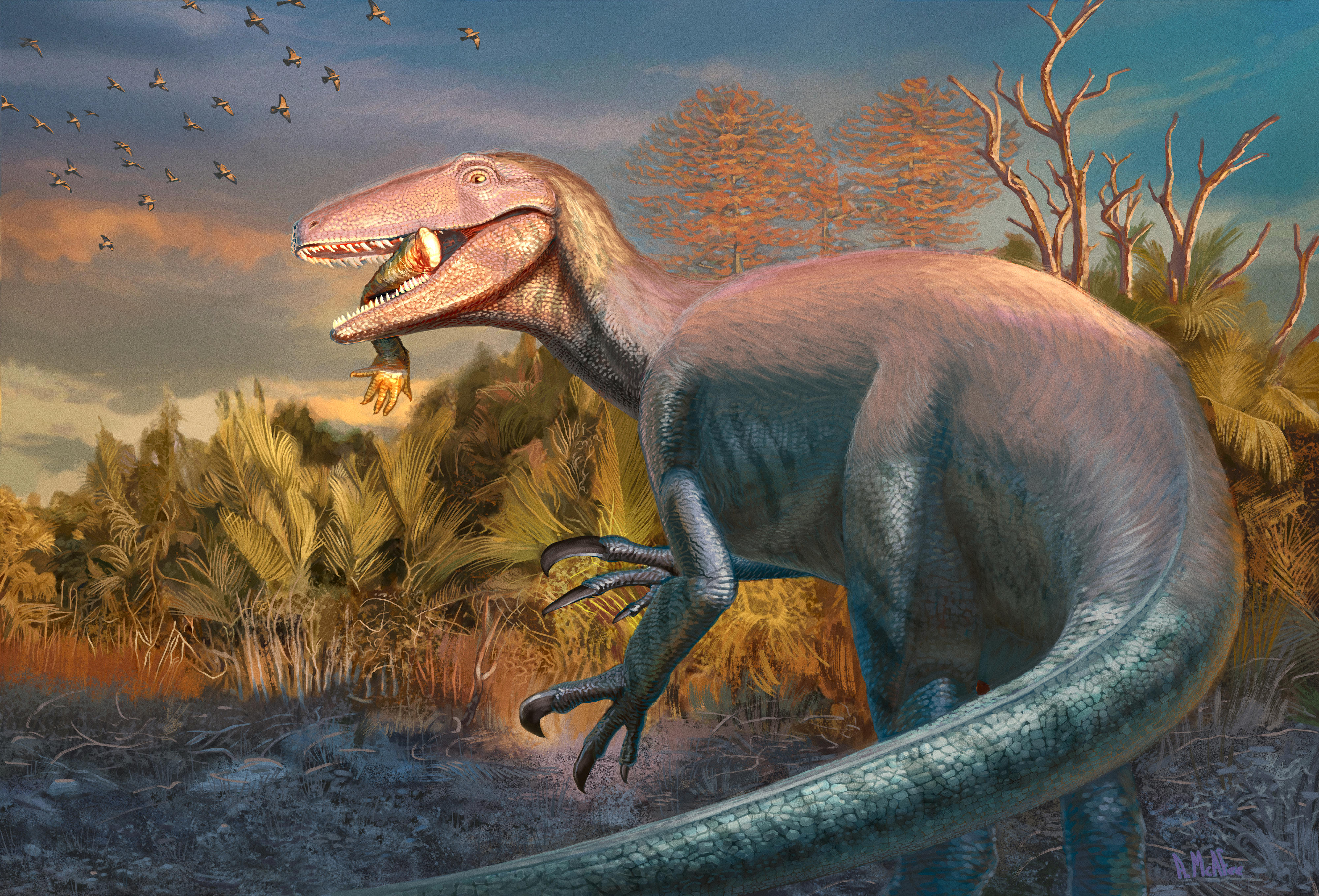 Nova espécie de dinossauro é encontrada na Argentina com presa entre os dentes