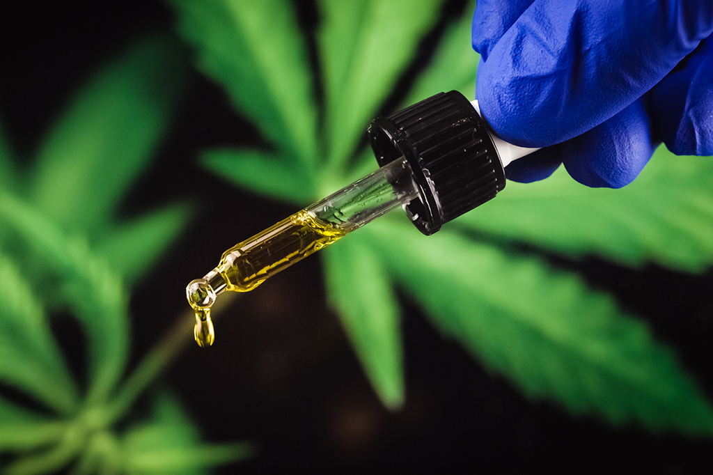 Cannabis medicinal cresce mais rápido que antidepressivos