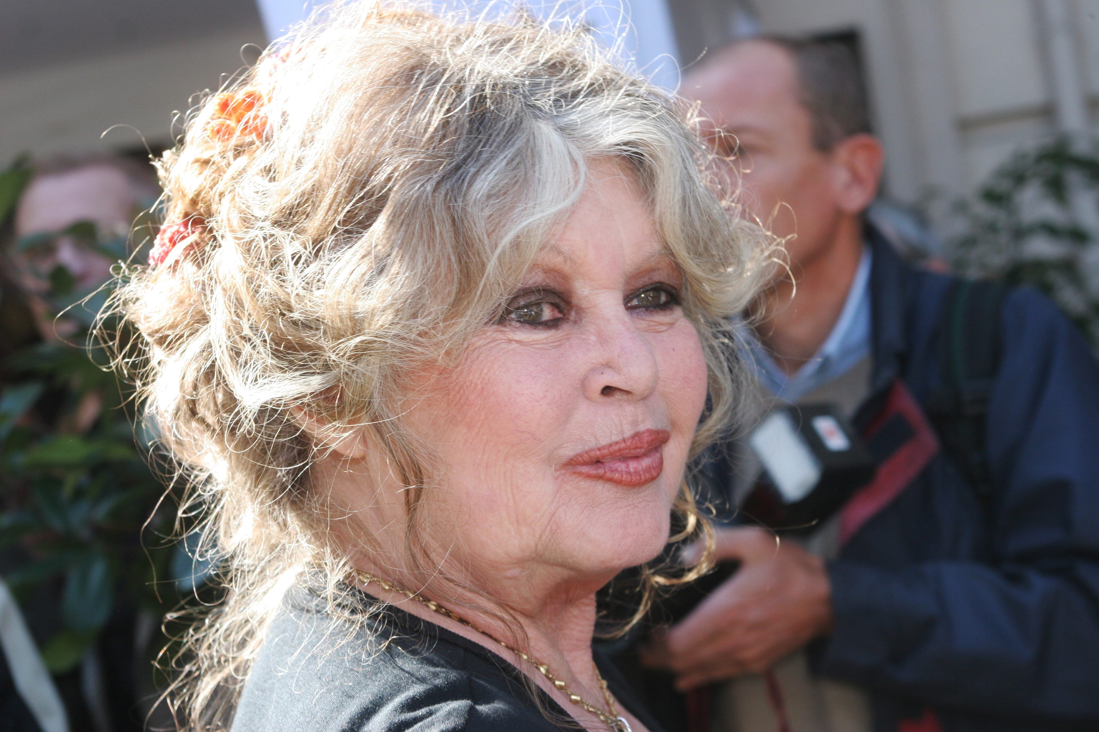 Os objetos de Brigitte Bardot que arrecadaram quase 6 milhões de reais em leilão