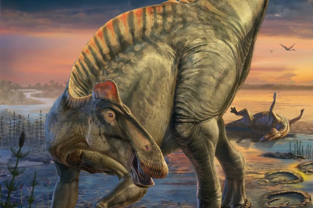 ‘Múmias’ de dinossauros revelam pele, escamas e cascos preservados; veja