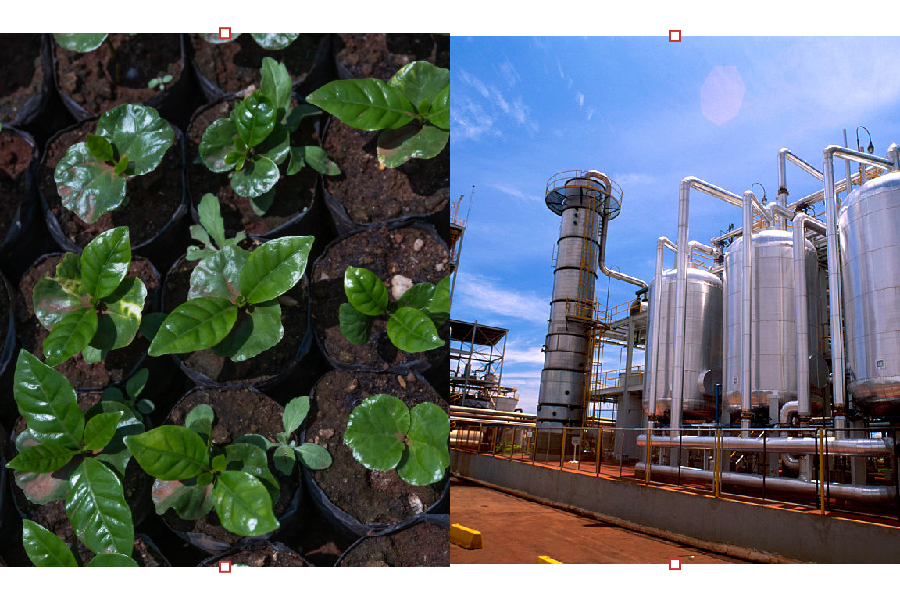 Montagem agro global