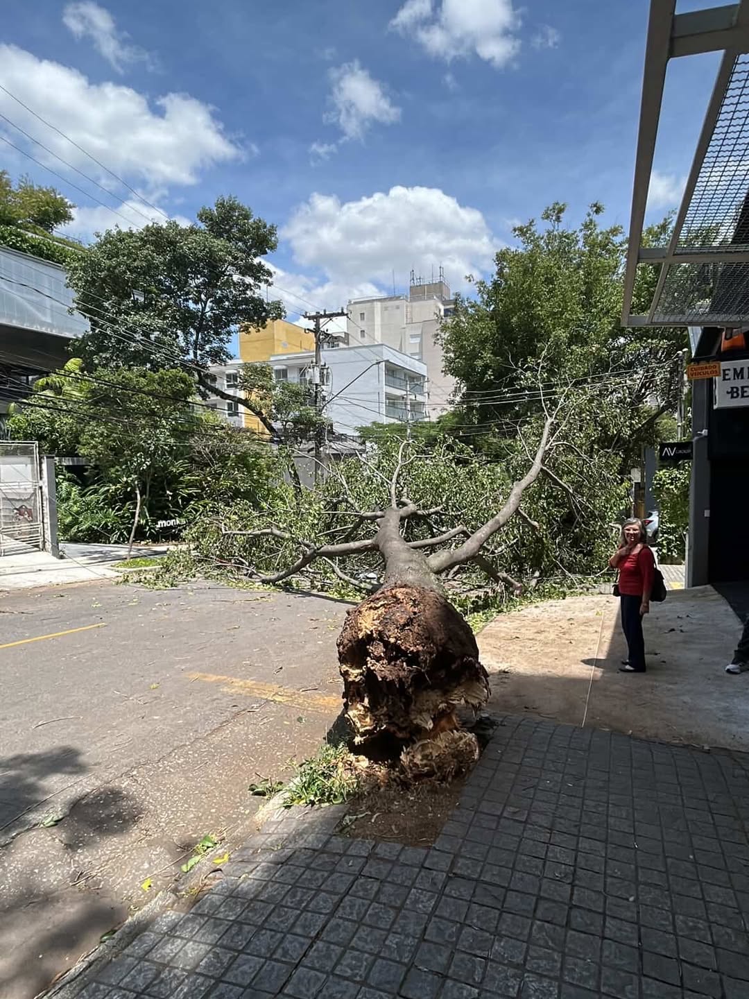Ventania em SP deixa 2 milhões sem luz, provoca estragos e governo aciona Enel