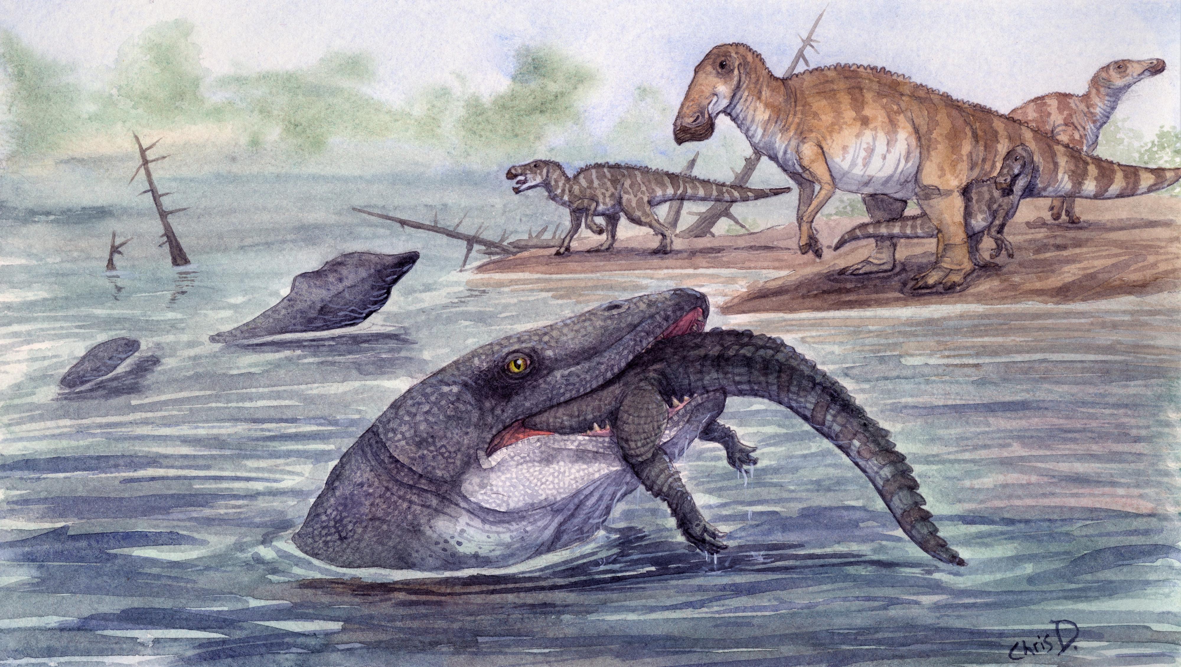 Dente fossilizado muda o que se sabia sobre predador marinho pré-histórico