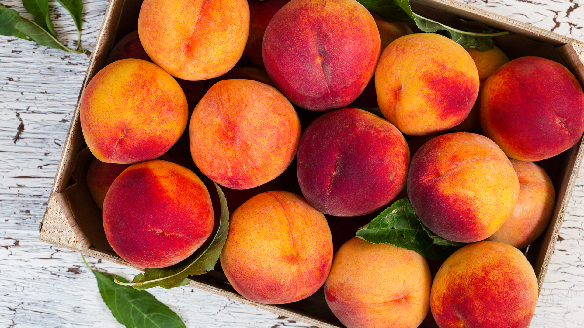 GettyImages-584718022