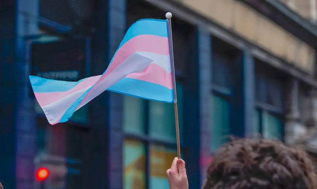 Psicóloga trans lança livro sobre histórias de cura e acolhimento de minorias