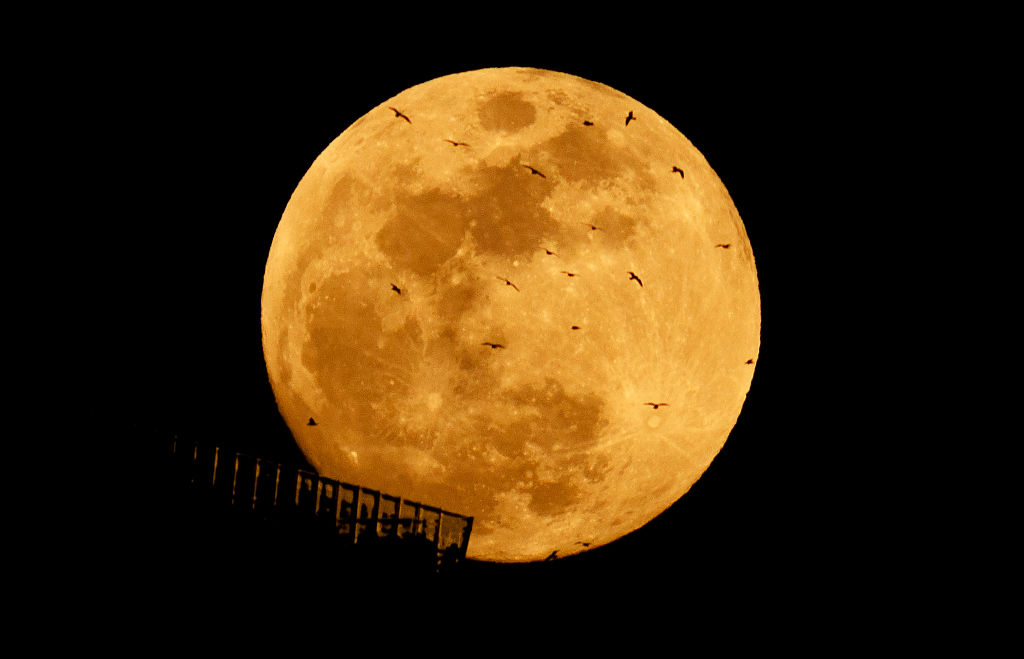 Lua de Sangue risca o céu das Américas na madrugada desta terça