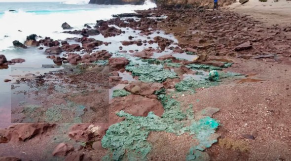Microplástico ameaça o santuário da Ilha de Trindade, diz estudo