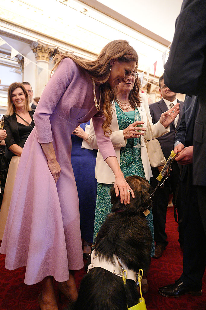 Look lil&aacute;s de Kate: assinatura reconhec&iacute;vel