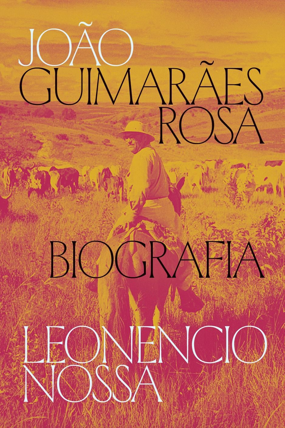 Mesa de feira literária de Poços de Caldas debate obra de Guimarães Rosa