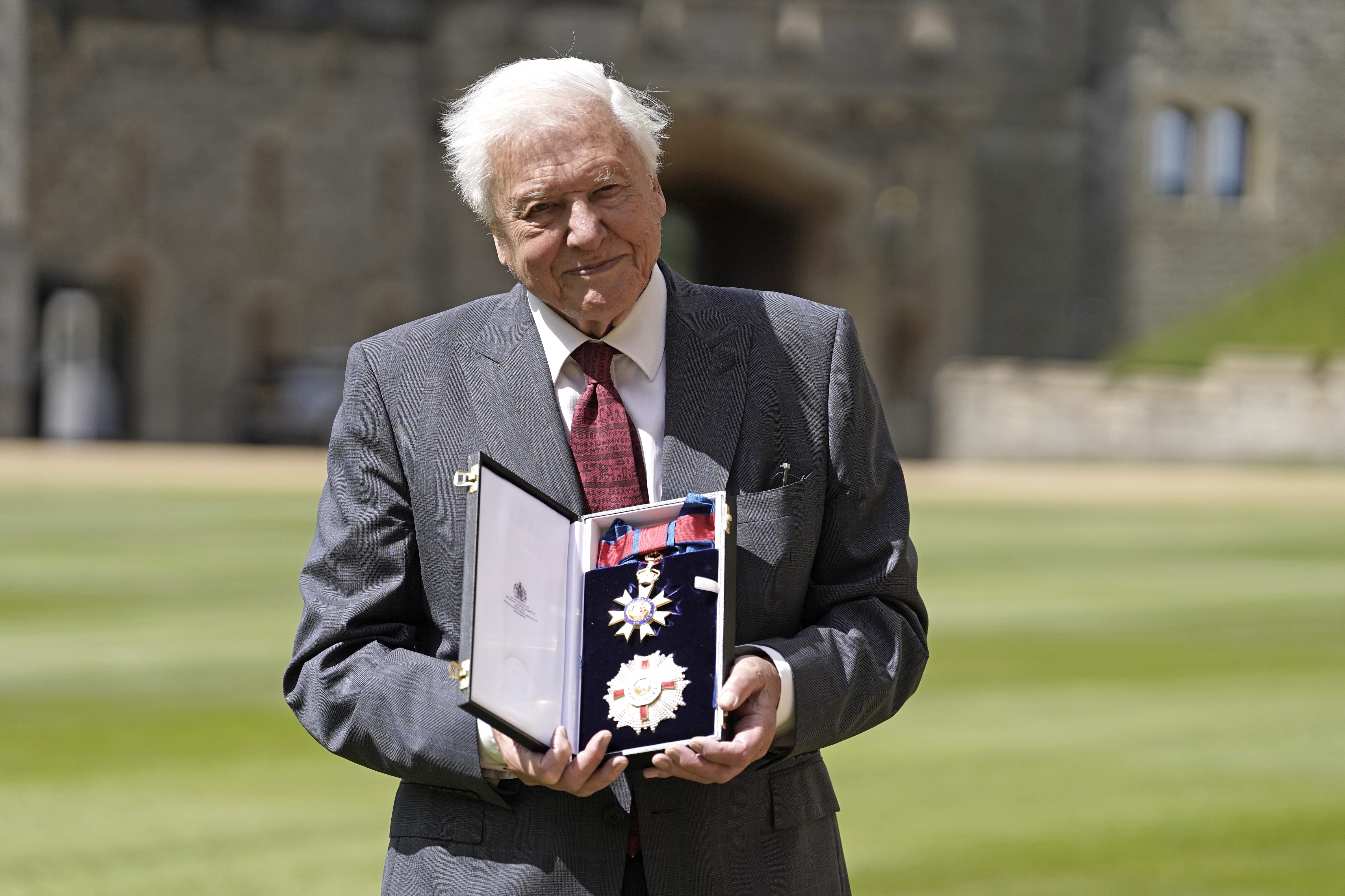 David Attenborough: os 100 anos do maior documentarista da natureza