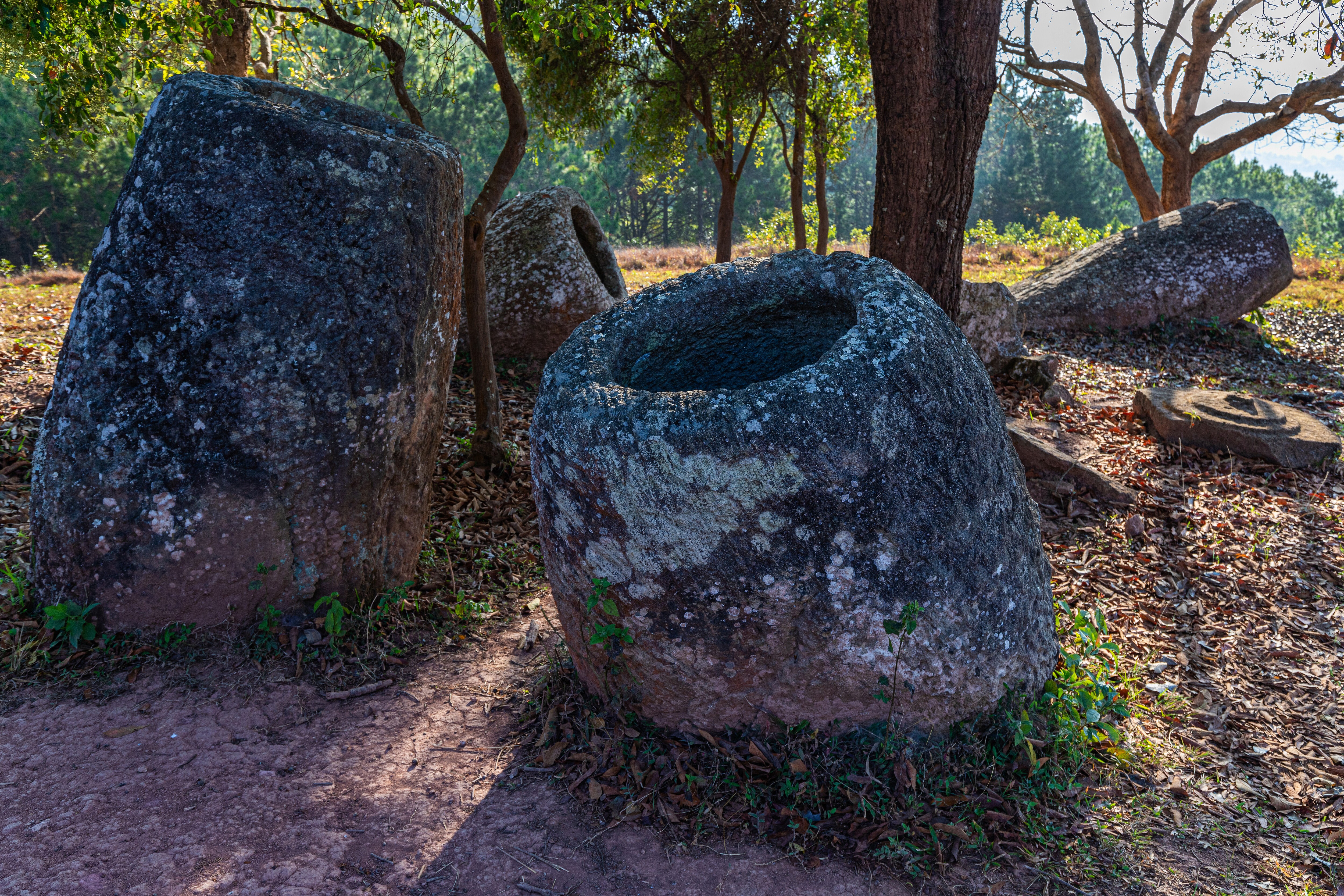 A macabra descoberta de arqueólogos em floresta da Ásia