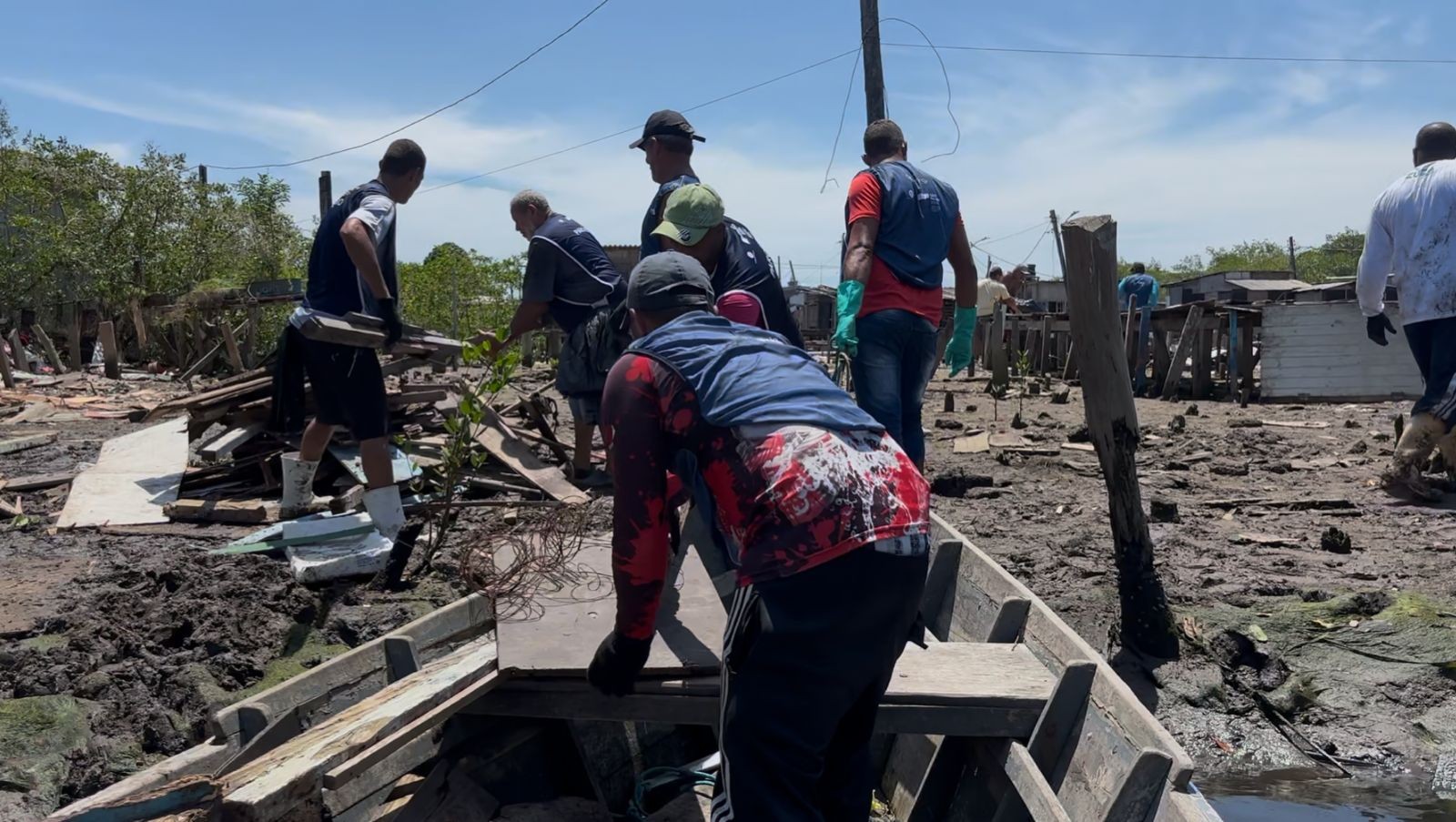Mutirão de limpeza dos maguezais recolhe volume recorde de lixo em SP