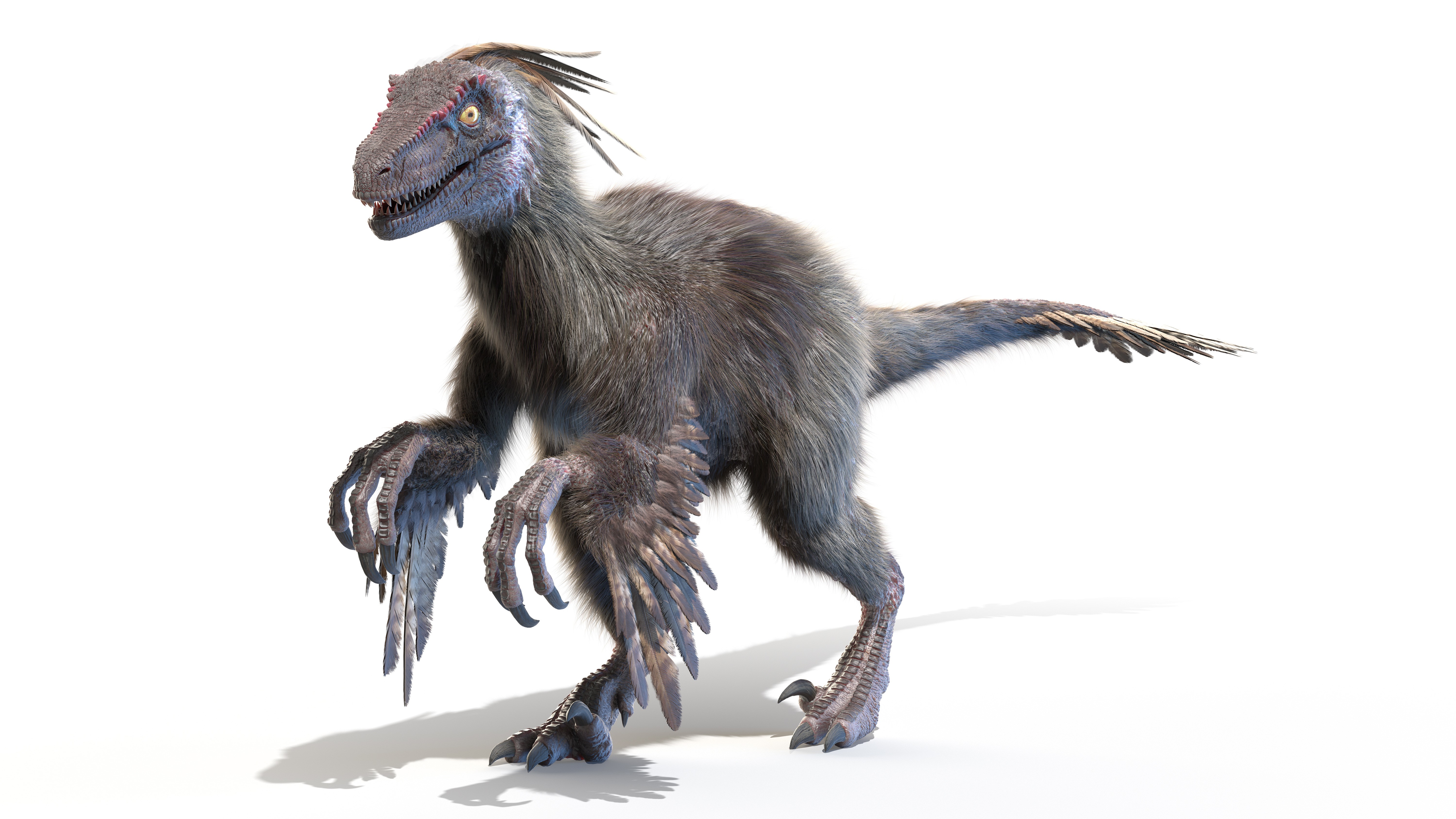Ossos de parente próximo de velocirraptor são encontrados na China