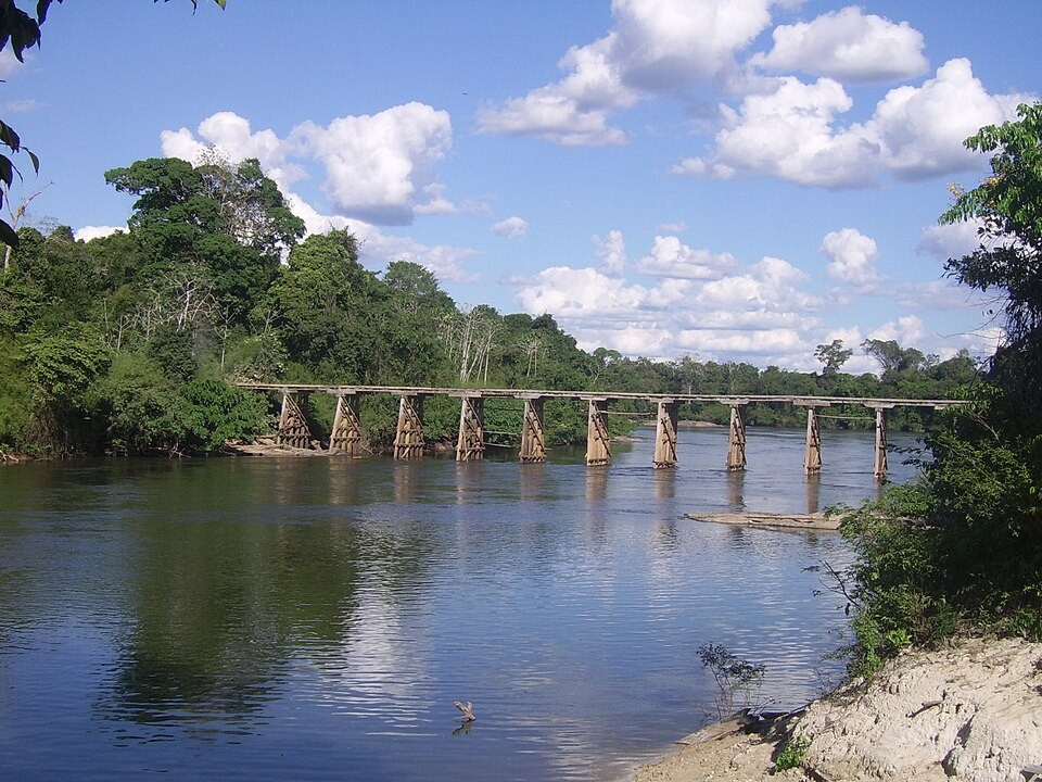 Senado diminui proteção de floresta no Pará
