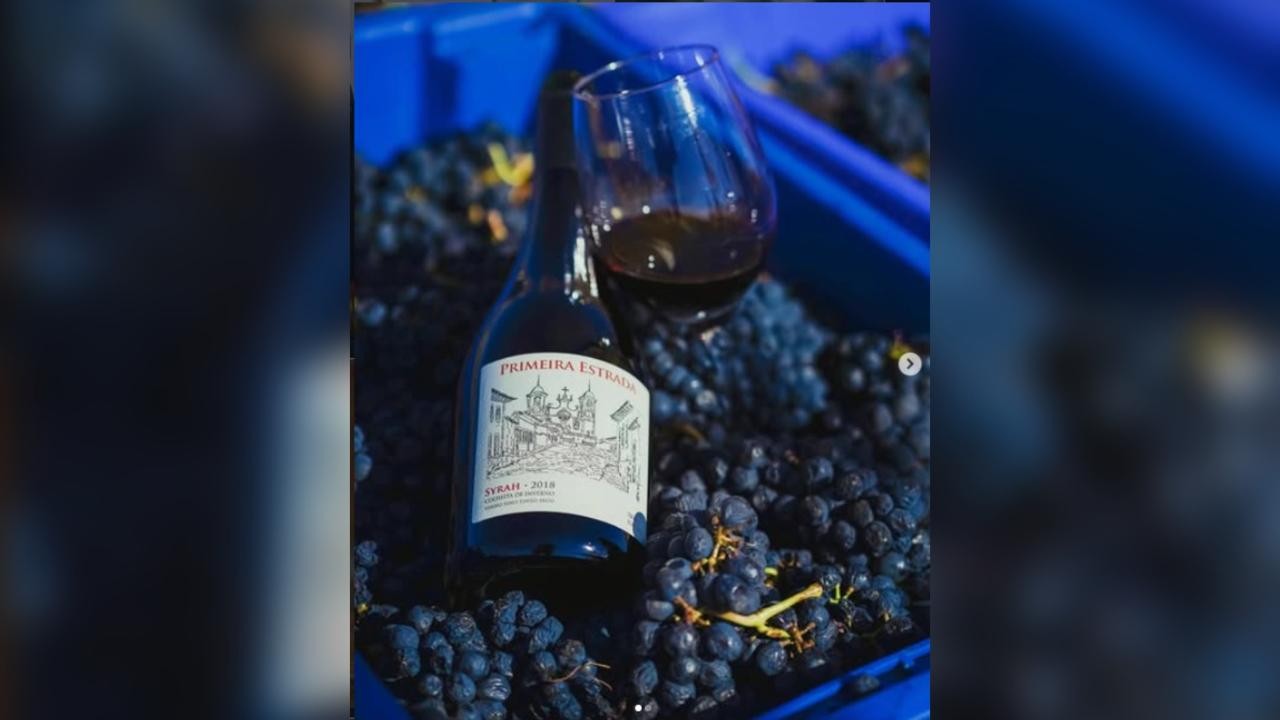O homem que enganou as videiras para mudar a história do vinho brasileiro