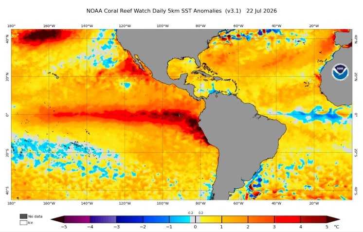 Seis ondas de calor sob El Niño ameaçam safra e põem cidades em alerta até o fim do ano