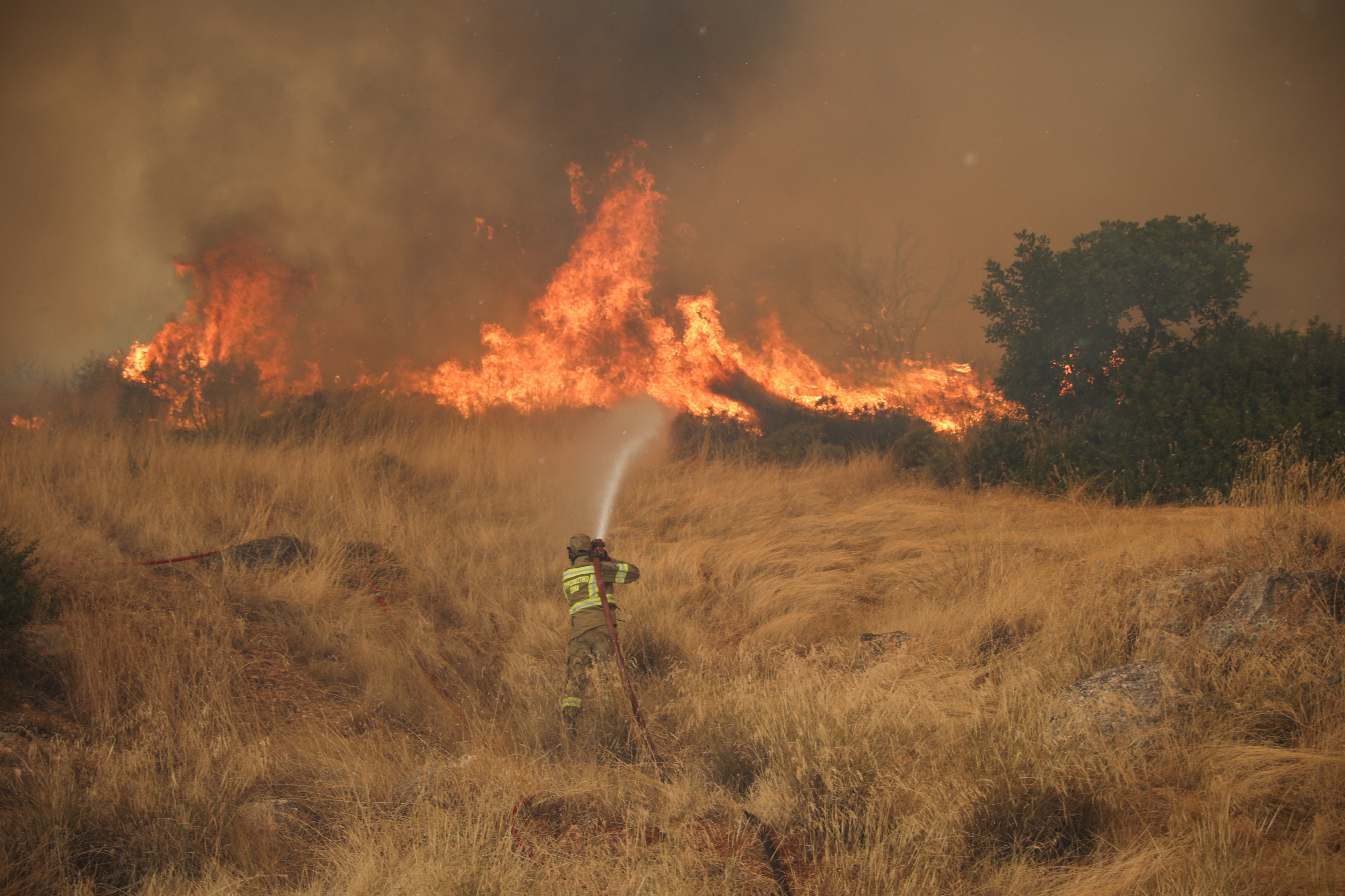 Grécia prende prefeito acusado de causar incêndio que devastou 11.000 hectares