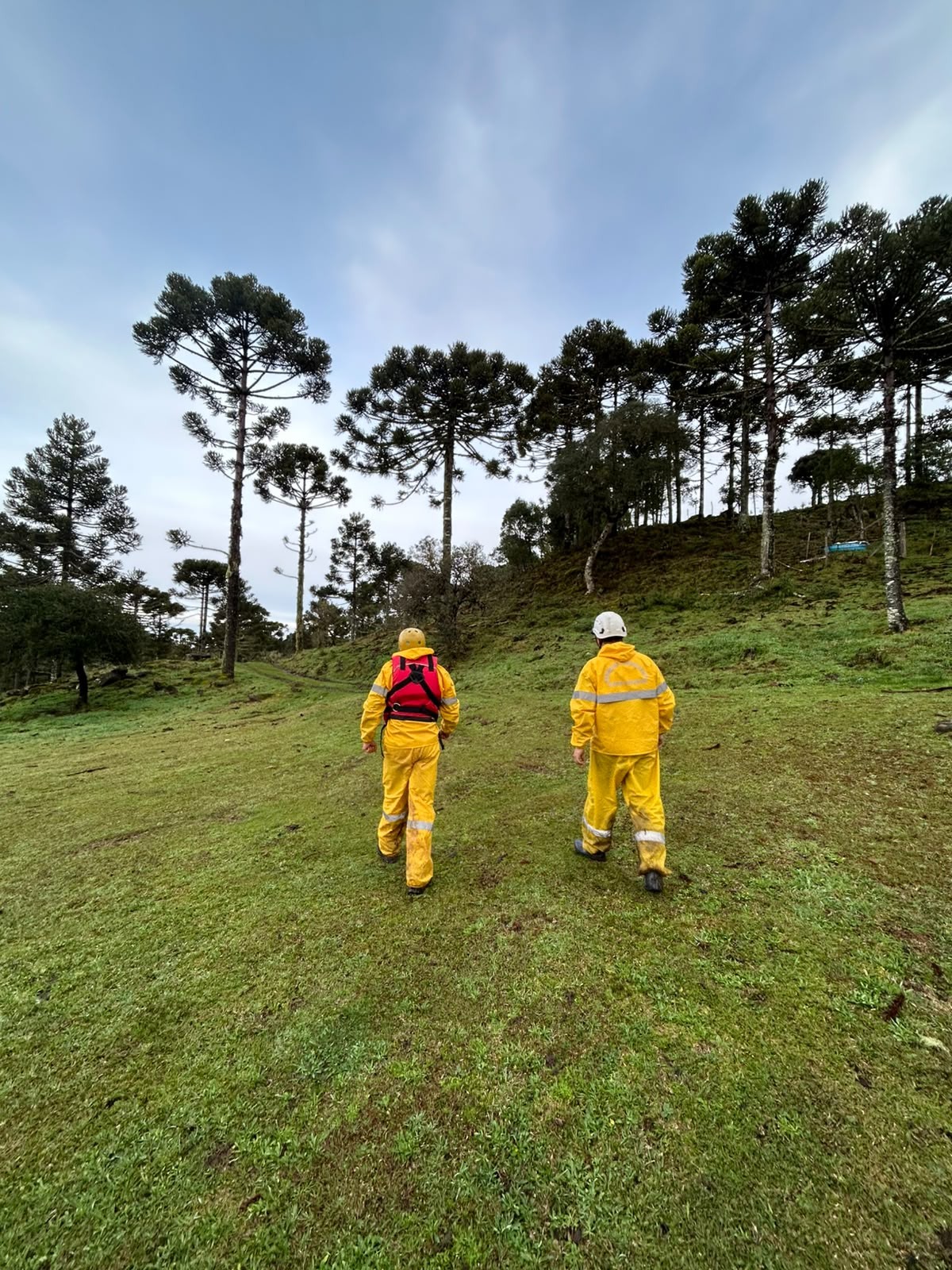 Vídeo: destroços de helicóptero com cantor Rick são localizados